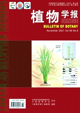 植物学报