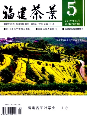福建茶叶