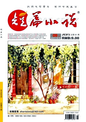 短篇小说
