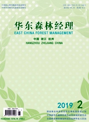 华东森林经理