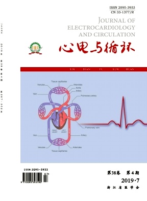 心电与循环
