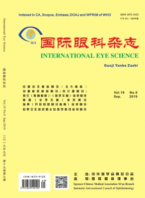 国际眼科